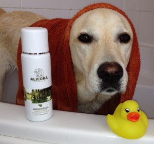 Produkttest Hundeshampoo