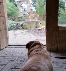 Erlebnis Zoo Hannover